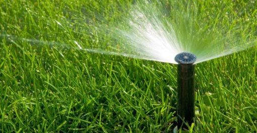 Impianto di irrigazione in giardino: fuori terra o interrato?